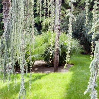 Санаторий Айвазовское | Фото 18