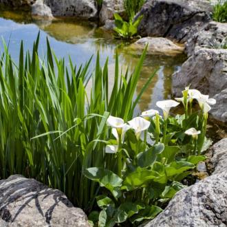 Санаторий Айвазовское | Фото 19