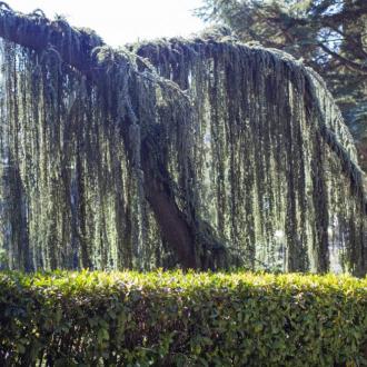 Санаторий Айвазовское | Фото 20