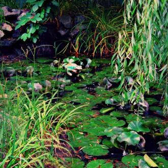 Заря | Фото 9