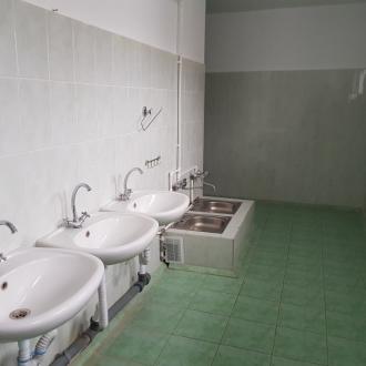 Альбатрос | Фото 8