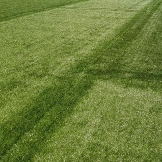 Альбатрос | Фото 3