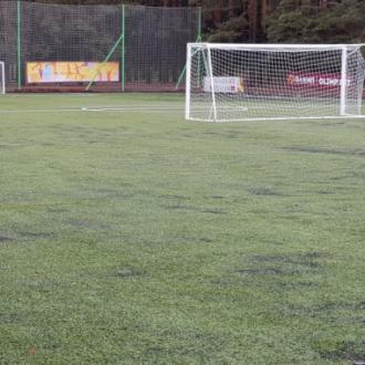 Альбатрос | Фото 4