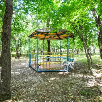 Альбатрос | Фото 5