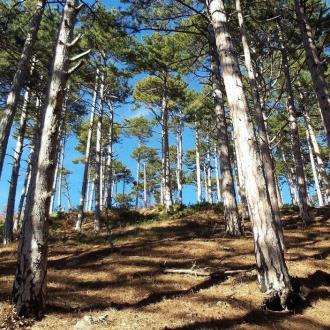 Футбольный Городок Batumi-Club | Фото 19