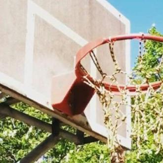 ДОЛ Фортуна | Фото 5