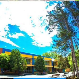 Мандарин | Фото 2