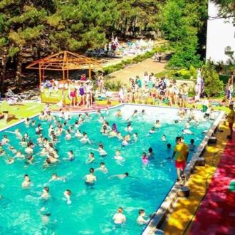 Мандарин | Фото 4