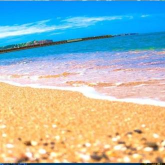 Мандарин | Фото 5