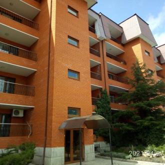 Медведь | Фото 2