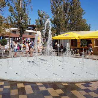 Вита | Фото 7