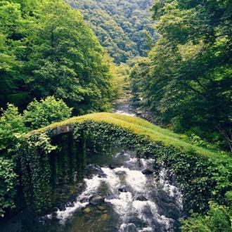 Mardi Plaza | Фото 27