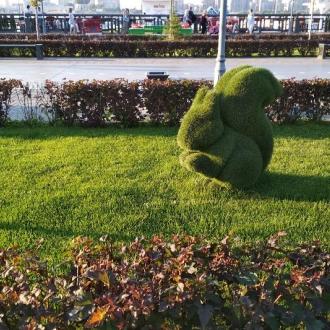 Парус | Фото 6