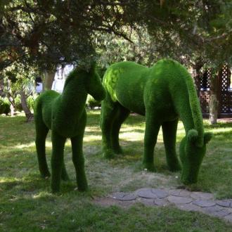 Парус | Фото 7