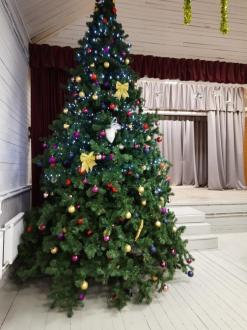 ДОЛ  Пионер | Фото 5