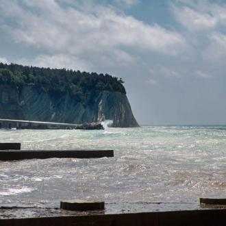 Пансионат Фламинго | Фото 1