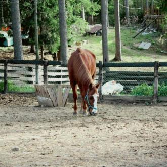 Загородный Отель Райвола | Фото 9