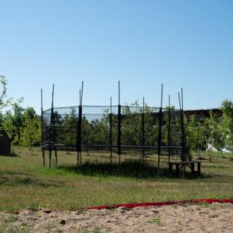 Веточка | Фото 9