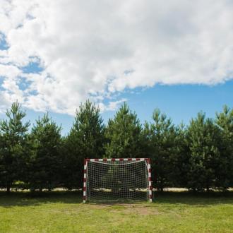 Веточка | Фото 2