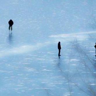 Веточка | Фото 7