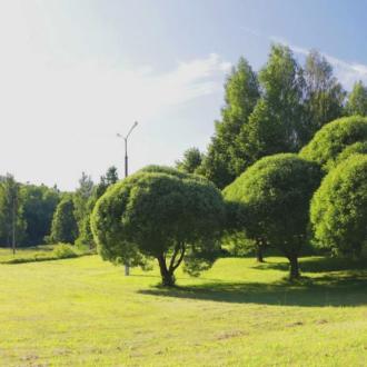 Санаторий Загорские Дали | Фото 3
