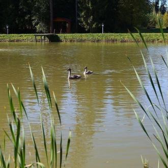 Парк-Отель Горизонт | Фото 30