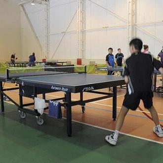 База отдыха Красная гвоздика | Фото 12