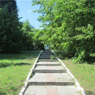 СОК  Изумруд | Фото 1