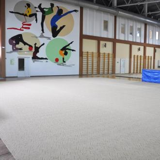 ФОК  Горького | Фото 5