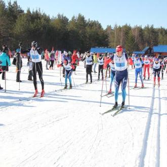 Малиновка | Фото 5