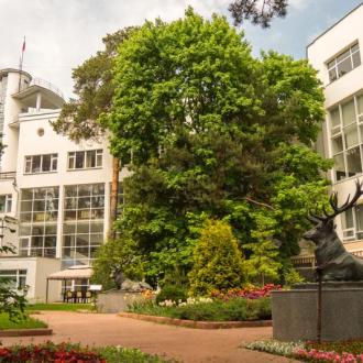 Оздоровительный Комплекс Сосны  | Фото 1