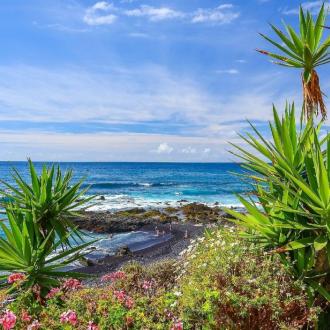 Т3 (Tenerife Top Training) | Фото 28