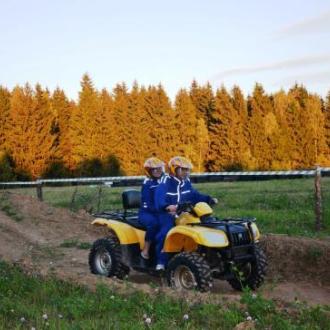 Иволга | Фото 3