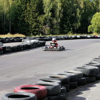 Иволга | Фото 5