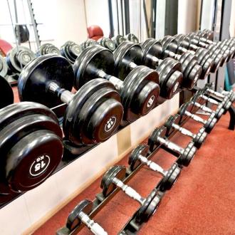 Иволга | Фото 7