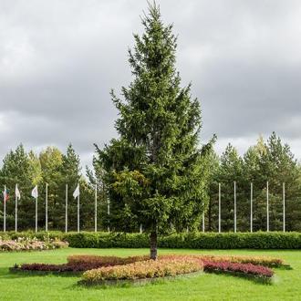 Загородный Комплекс Лисья Нора | Фото 3