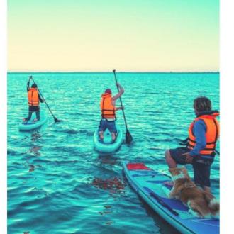 Прибрежный | Фото 3