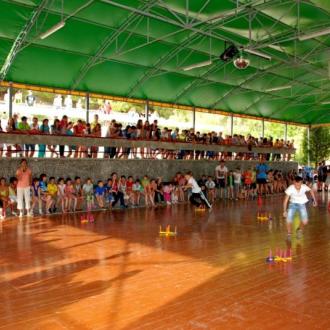 Чайка | Фото 3