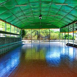 Чайка | Фото 4