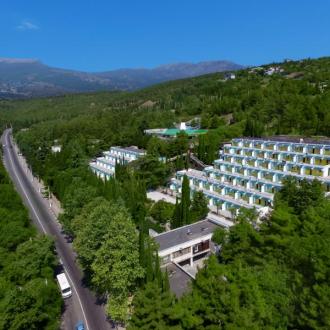 Чайка | Фото 1