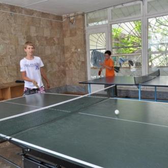 Чайка | Фото 5