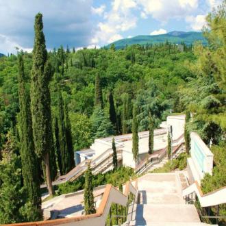 Чайка | Фото 2